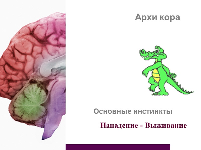 Архи кора   Основные инстинкты       Нападение -